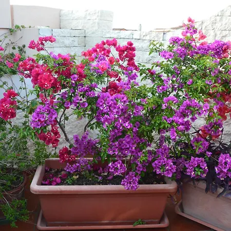 La Casa Di Gianna Apartment Sassari